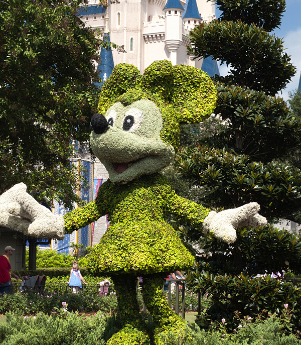 Mickey Mouse Florida