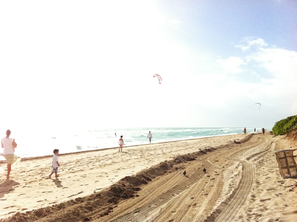 Kitesurfer in Miami Beach