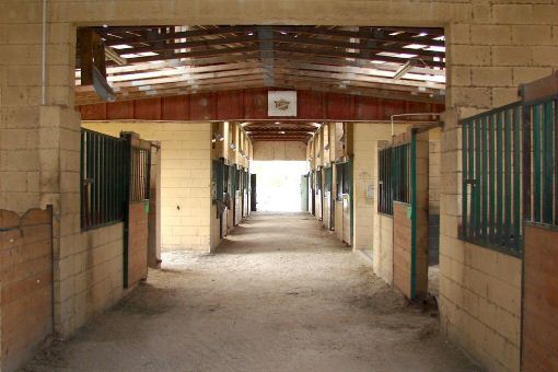 Haus Cocoa Beach Pferderanch in Brevard in Florida kaufen