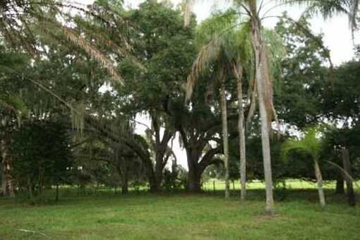 Grundstück in Bradenton zum Kauf