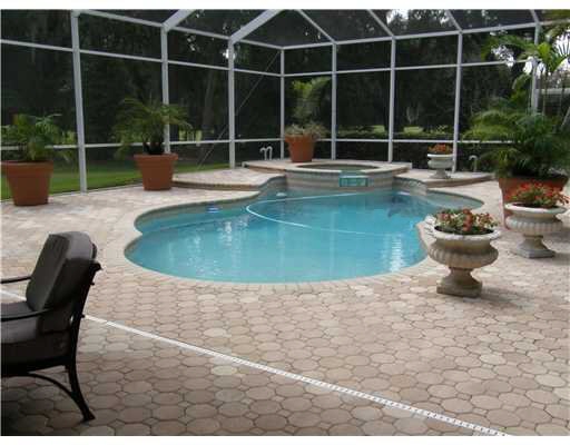 plantcity-pool-hillsborough